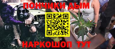 гидропоника Гусиноозёрск