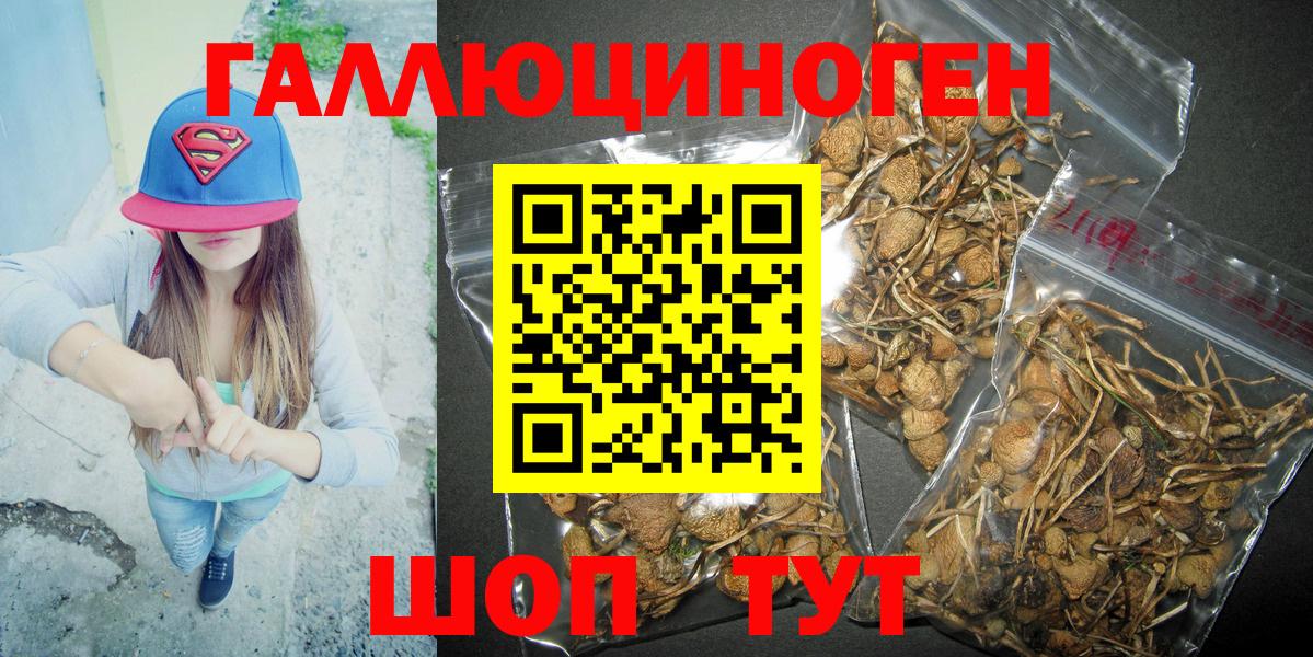 Галлюциногенные грибы ЛСД  Вход с VPN  Ефремов  Галлюциногенные грибы Magic Shrooms 